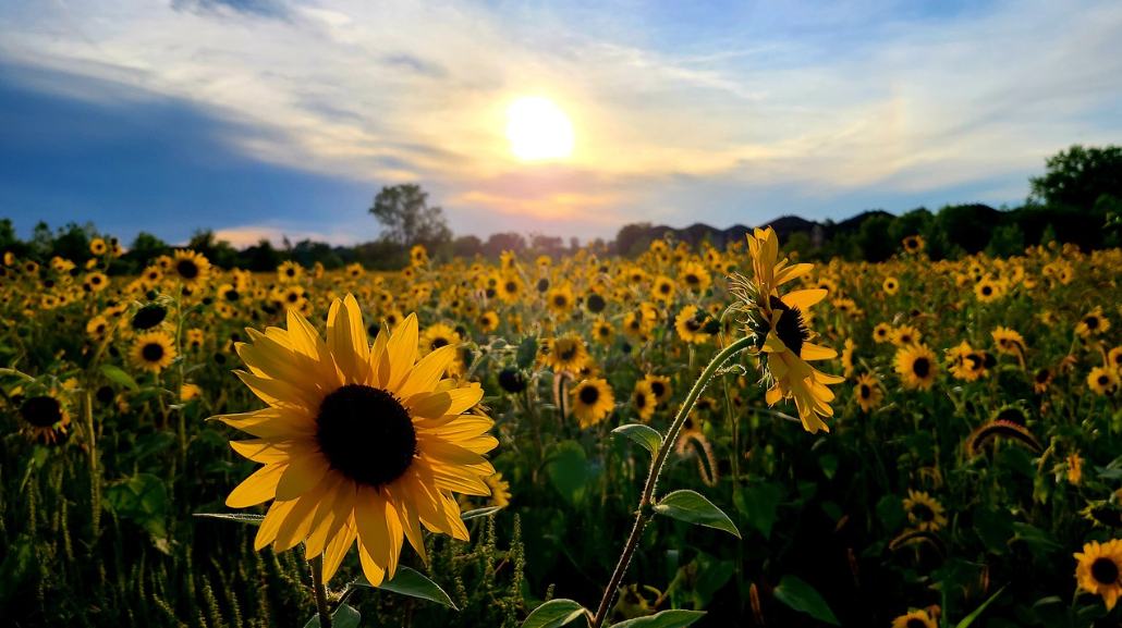 Sustainable 925 Silver Jewelry