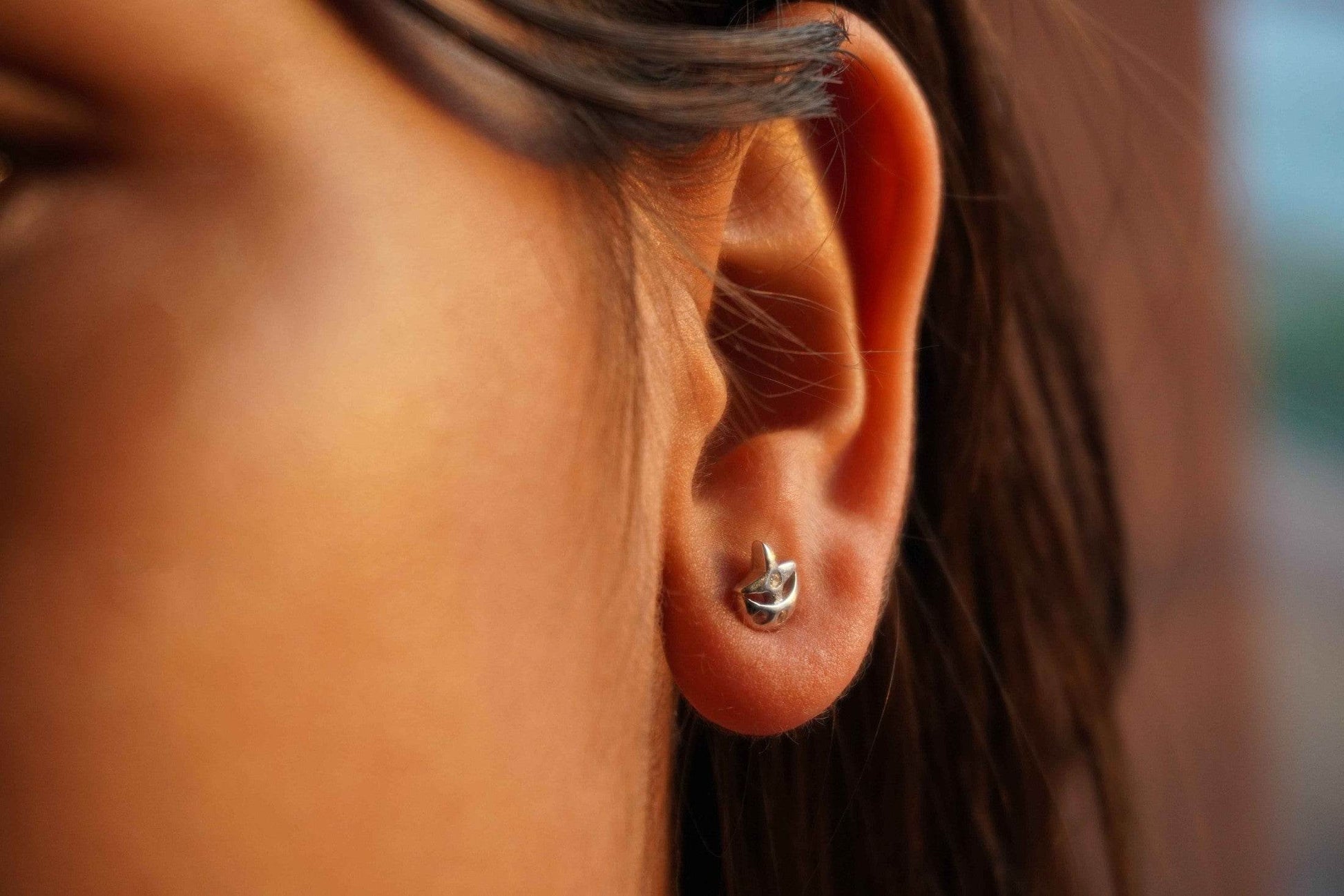 Ariva Silver Moon and Star Earring - Ariva