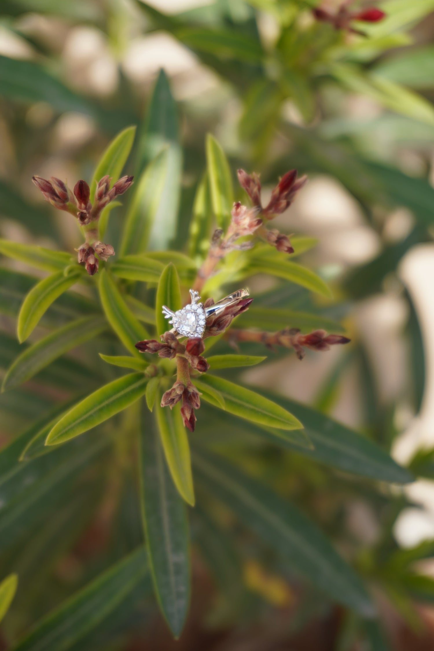 Why Ariva 925 Silver jewelry sustainability