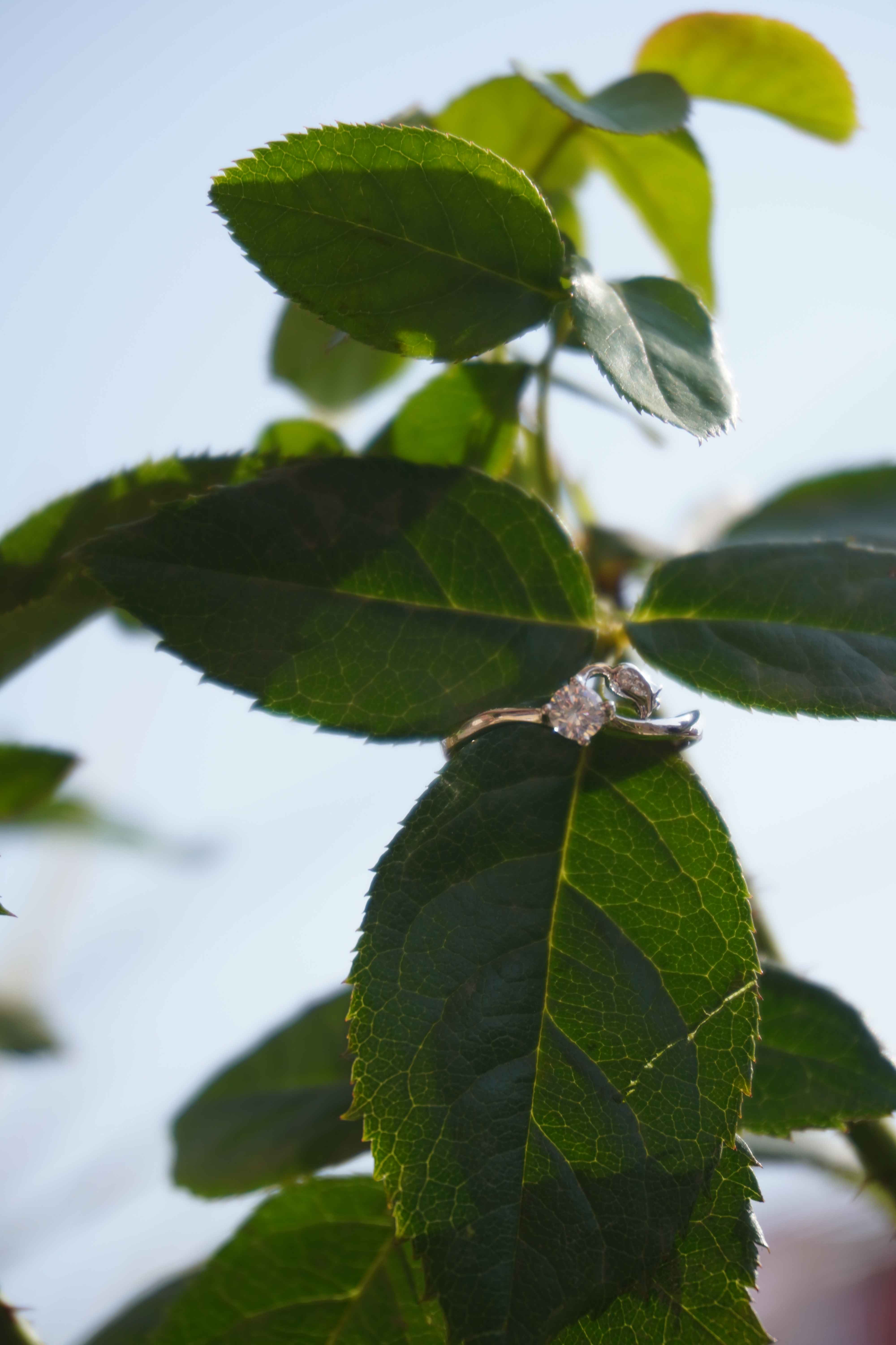 Sustainable 925 Silver jewelry ring 